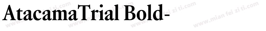 AtacamaTrial Bold字体转换